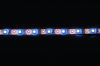 12V LED-Band, RGBW: rot,grün,blau,warmweiss, IP65,  10mm breit
