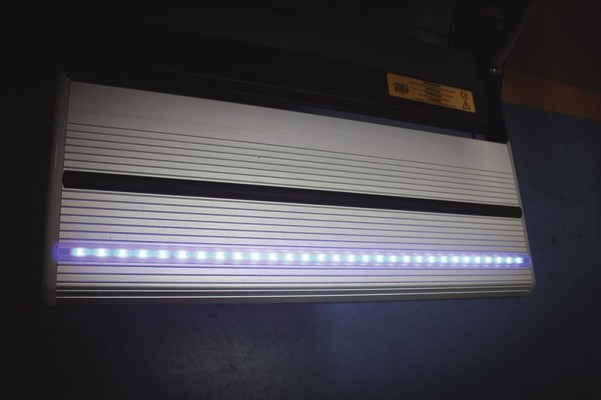LED-Licht blau mit Schalter für Trittstufe