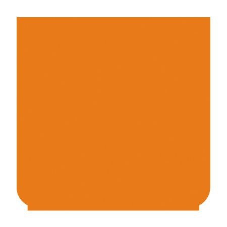 Emblem - neutral orange