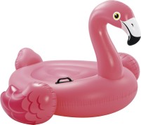 Flamingo de l'île de baignade